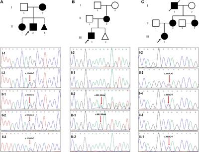 Case Report: Preimplantation Genetic Testing and Pregnancy Outcomes in Women With Alport Syndrome